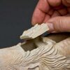 A person is holding the lid of a wooden object.